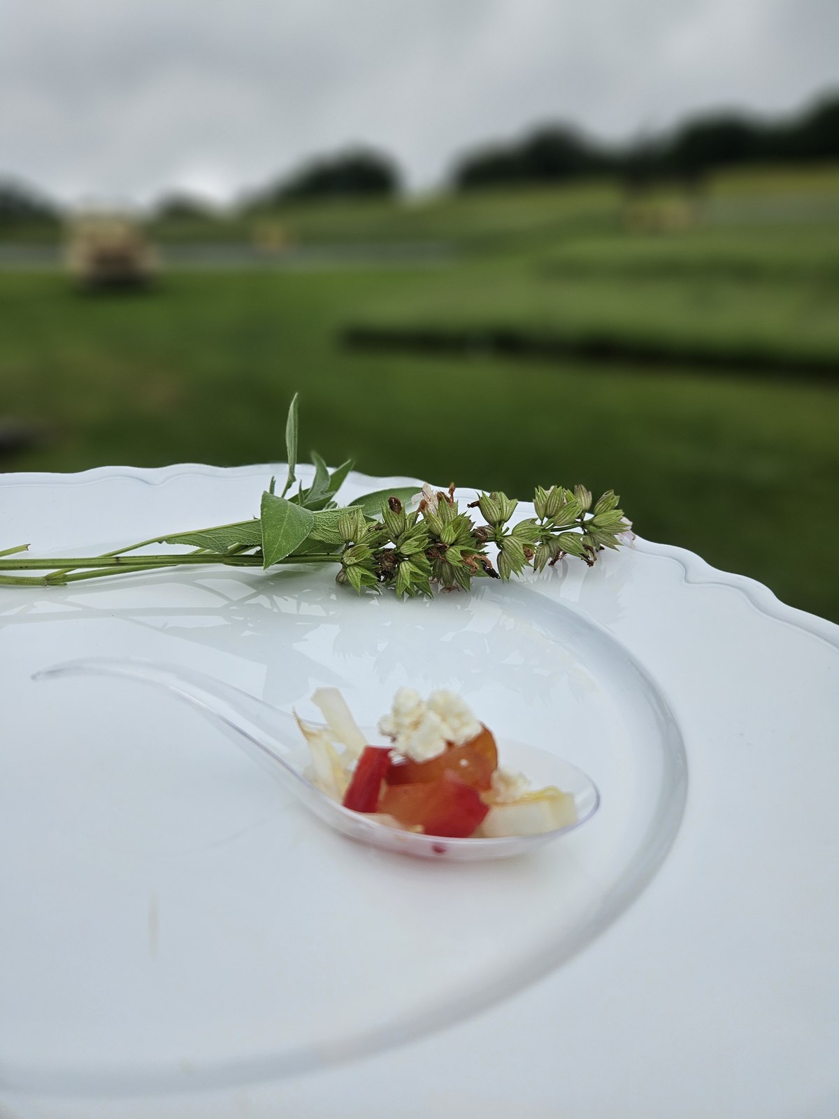 A small plated course